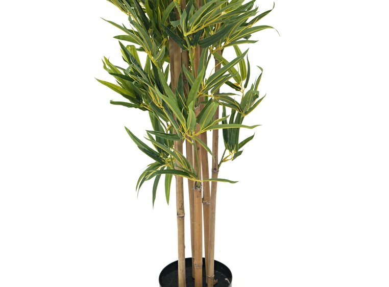 EUROPALMS Bamboo deluxe, artificial plant, 180cm 