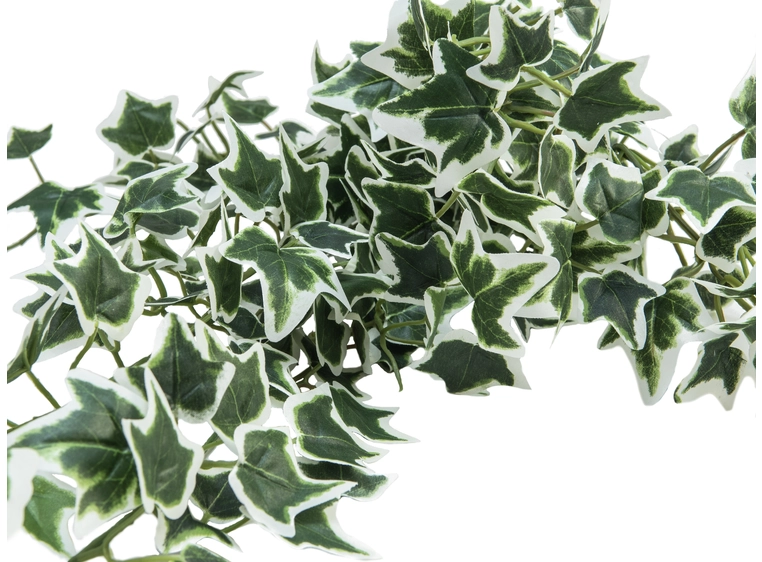 EUROPALMS Holland Ivy Garland Classic 180cm 