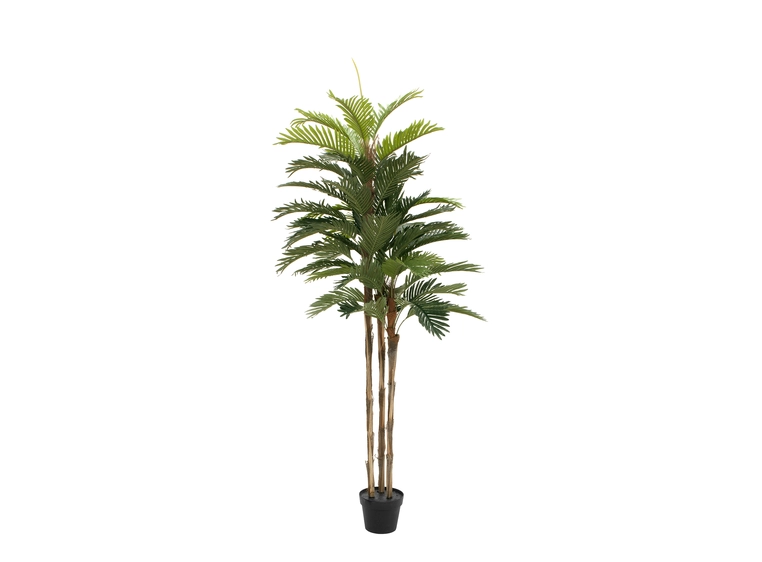 EUROPALMS Kentia palm tree, artificial plant, 150cm 