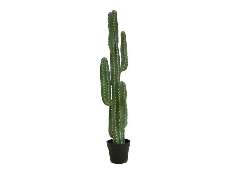 EUROPALMS Mexican cactus, artificial plant, green, 123cm 