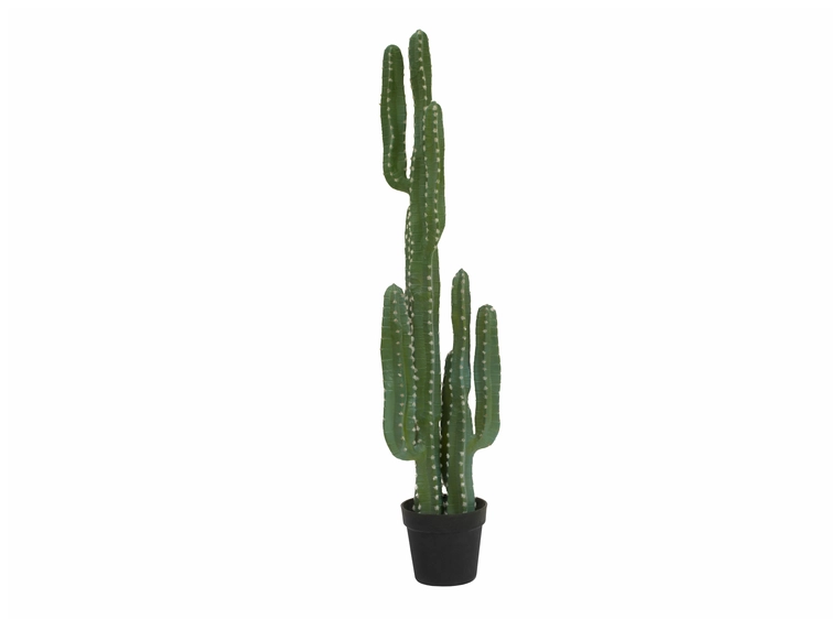 EUROPALMS Mexican cactus, artificial plant, green, 123cm 
