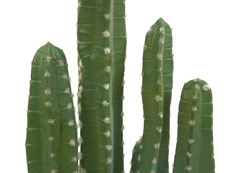EUROPALMS Mexican cactus, artificial plant, green, 123cm 