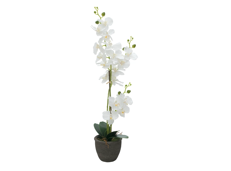 EUROPALMS Orchid, artificial plant, white, 80cm 