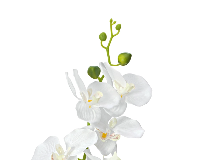 EUROPALMS Orchid, artificial plant, white, 80cm 