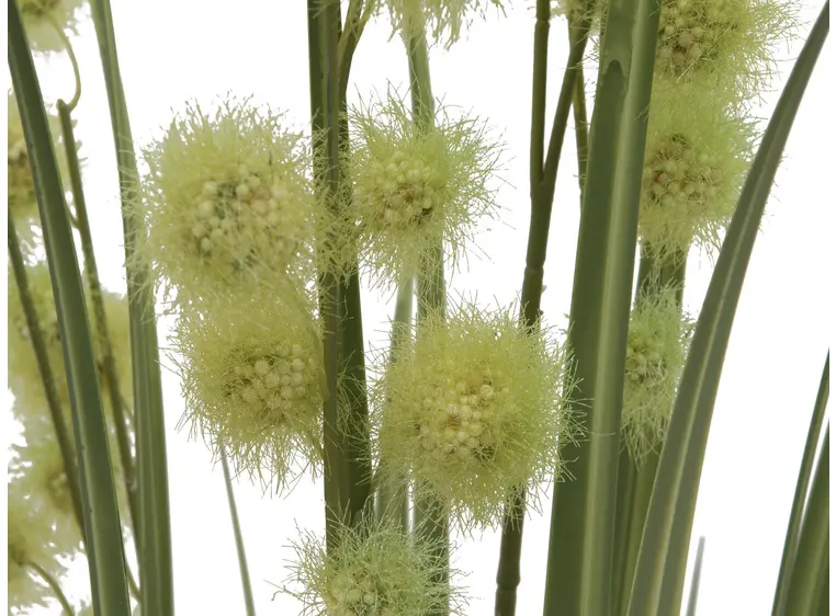 Europalms Allium Grass, 122cm 