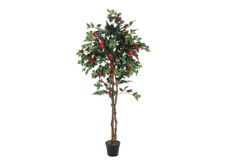 Europalms Camelia red cemented 180cm 