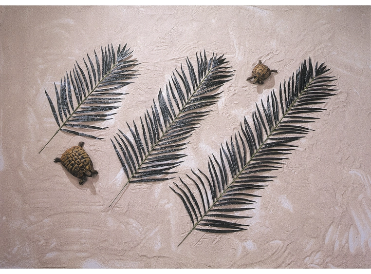 Europalms Coconut palm branch 90cm 12x 