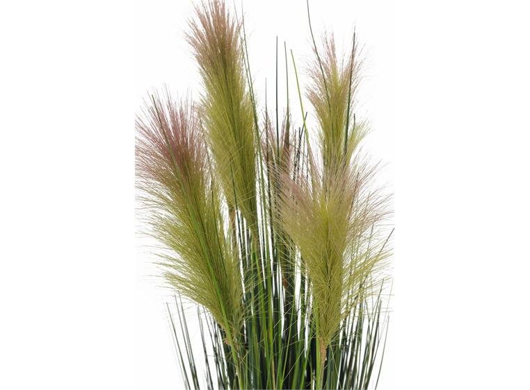 Europalms Feather grass, rosa, 90cm