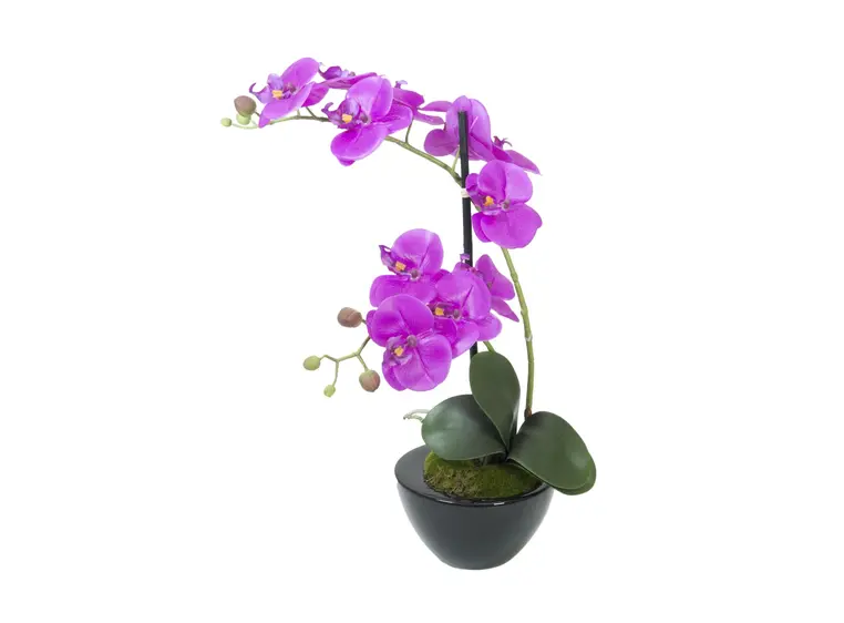 Europalms Orchid arrangement 4 