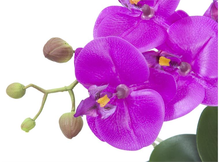 Europalms Orchid arrangement 4