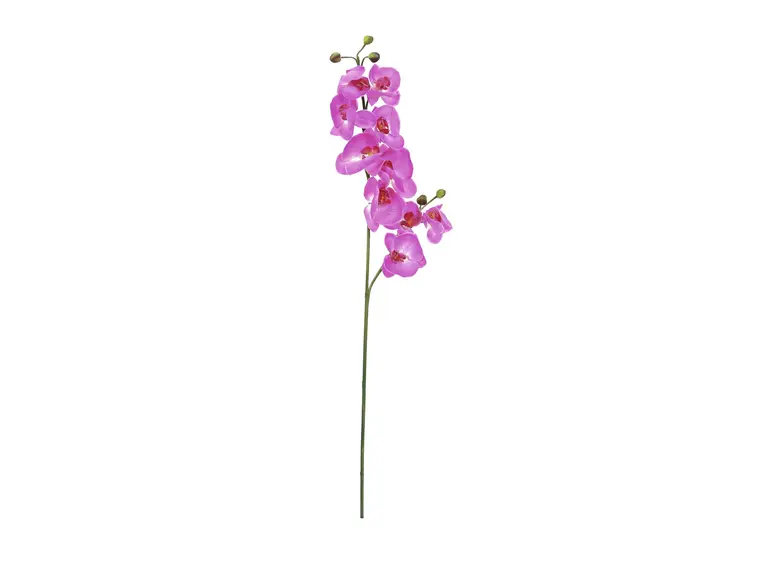 Europalms Orchid spray, purple, 100cm 