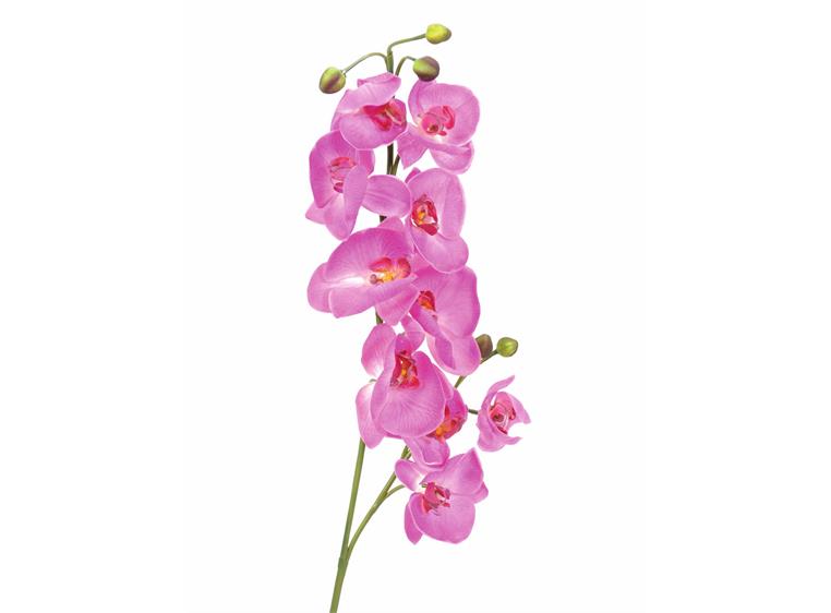 Europalms Orchid spray, purple, 100cm