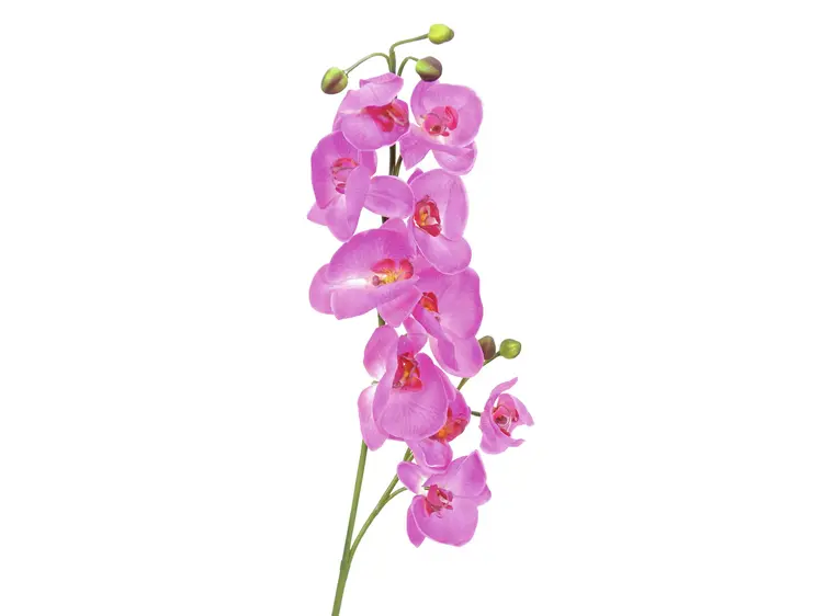 Europalms Orchid spray, purple, 100cm 