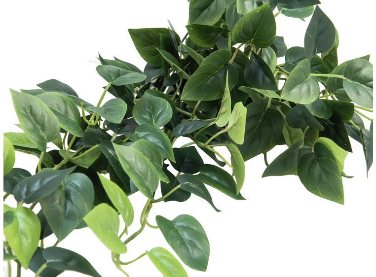 Europalms Pothos Bush Tendril Classic 100cm 