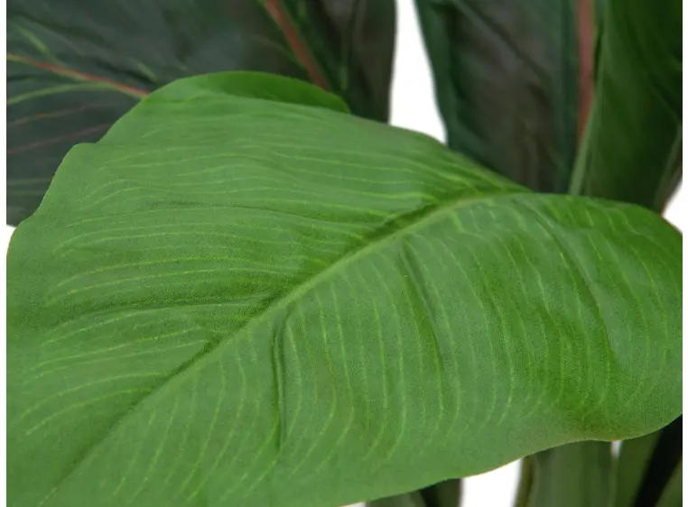 Europalms Sago palm tree, 45cm 