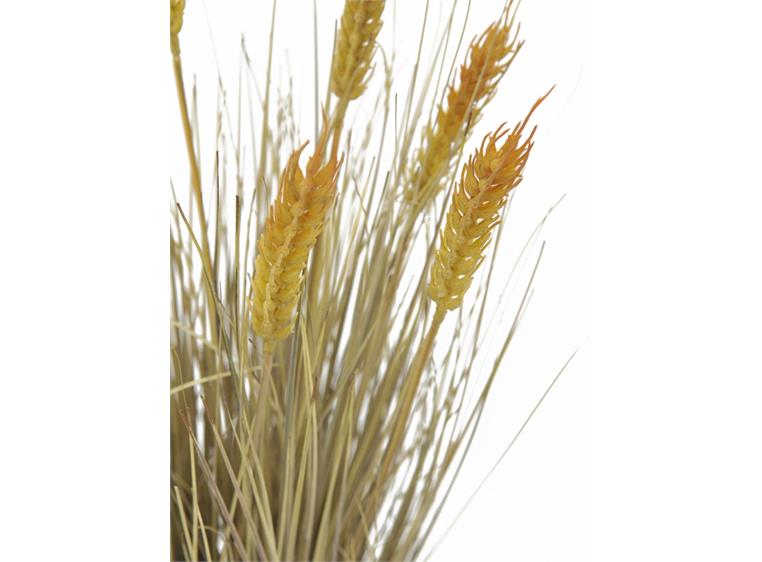 Europalms Wheat ready to harvest 60cm