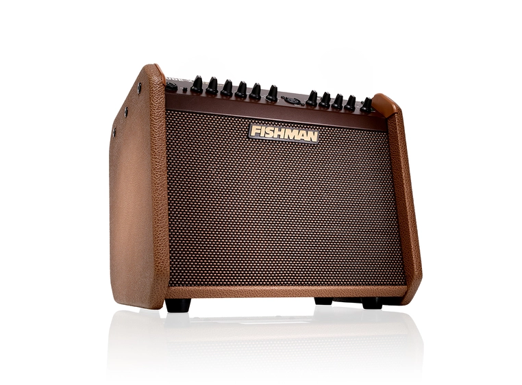Fishman Loudbox Mini Charge (PRO-LBC-500) 