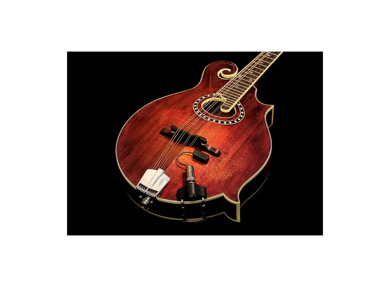 L.R.Baggs Radius M, Mandolin PickUp 