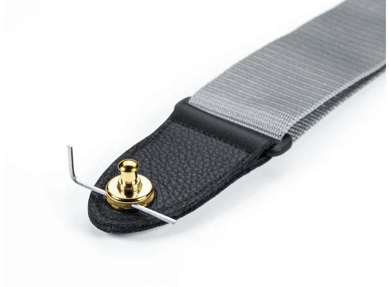 Schaller Security Lock Gold 