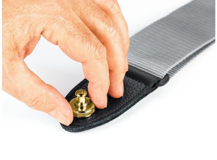 Schaller Security Lock Gold 