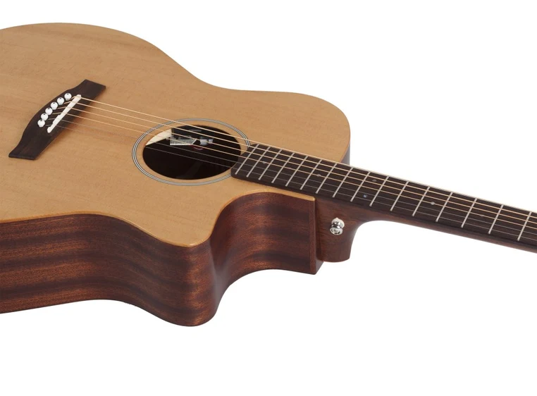 Schecter Deluxe Acoustic (NS) Natural Satin 