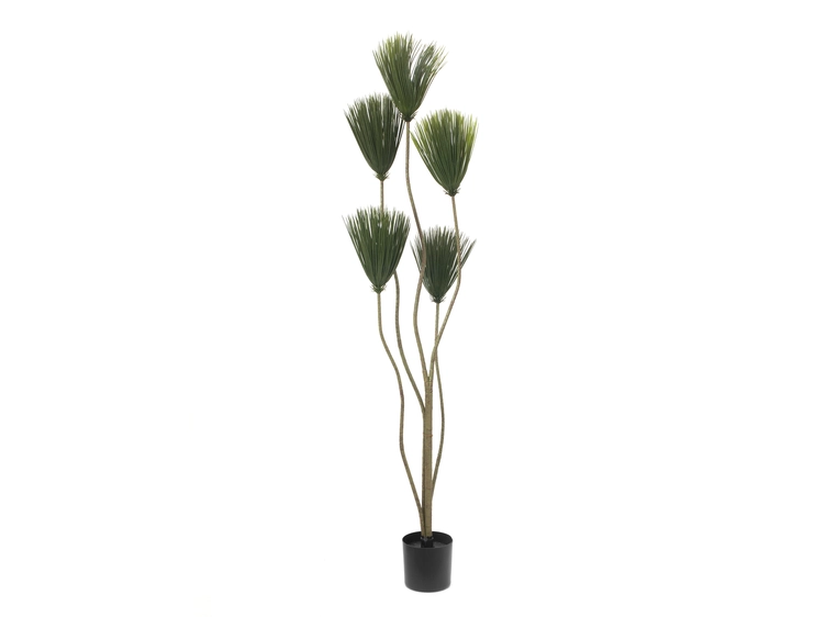 EUROPALMS Papyrus plant, artificial plant, 130cm 