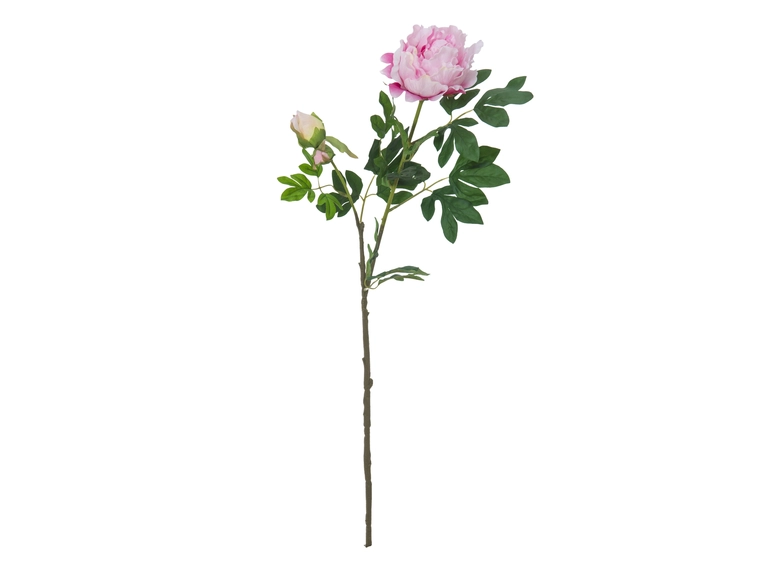 EUROPALMS Peony Branch Premium, pink 100cm 