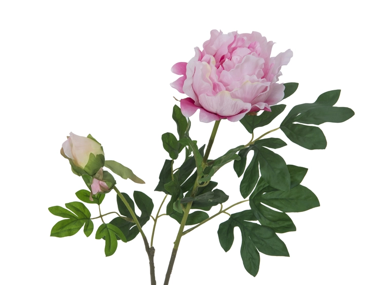 EUROPALMS Peony Branch Premium, pink 100cm 