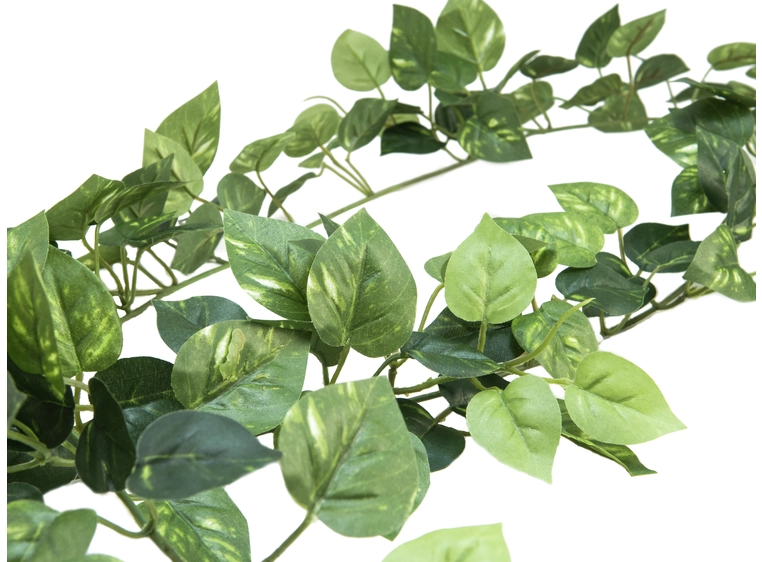 EUROPALMS Pothos Garland Classic, 180cm 