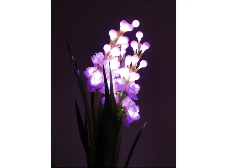 Europalms Arum set, 3 branches with LEDs pink 85cm 