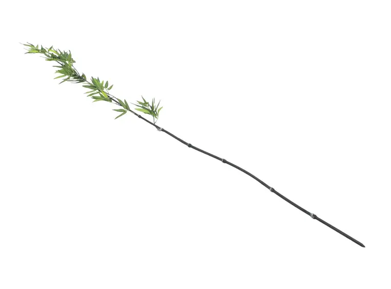 Europalms Bamboo tube with leaves, 180cm sixpack 