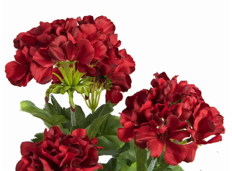 Europalms Geranium red 42cm 