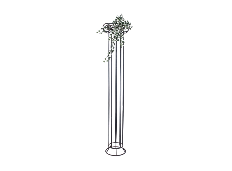 Europalms Holland Ivy Bush Tendril Classic, 60cm 