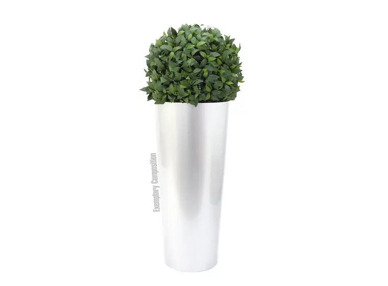 Europalms LEICHTSIN ELEGANCE-69 shiny-white 
