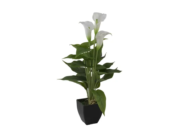 Europalms Mini Calla, White, 43cm 