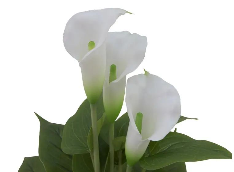 Europalms Mini Calla, White, 43cm 