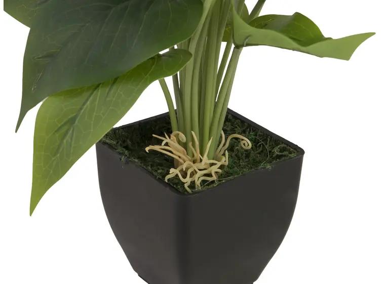 Europalms Mini Calla, White, 43cm 