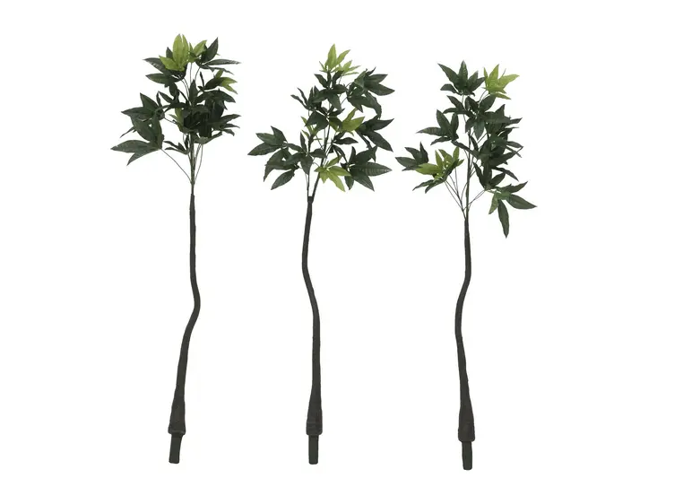 Europalms Pachira balltree, 160cm 