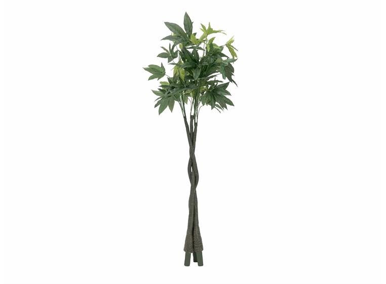 Europalms Pachira balltree, 160cm