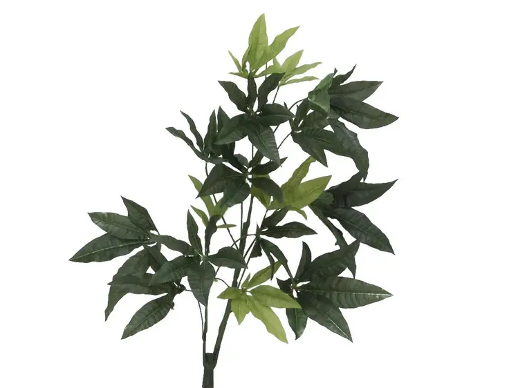 Europalms Pachira balltree, 160cm 