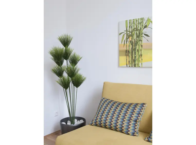Europalms Papyrus plant, 150cm 