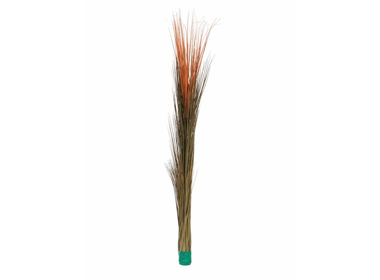 Europalms Reed grass, light brown, 127cm