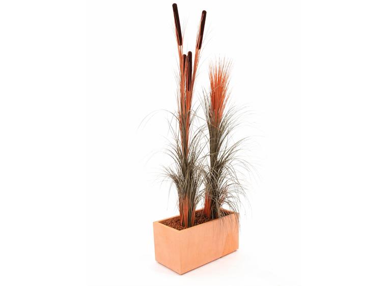 Europalms Reed grass, light brown, 127cm
