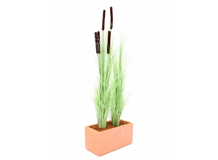 Europalms Reed grass w/ cattails light green,152cm