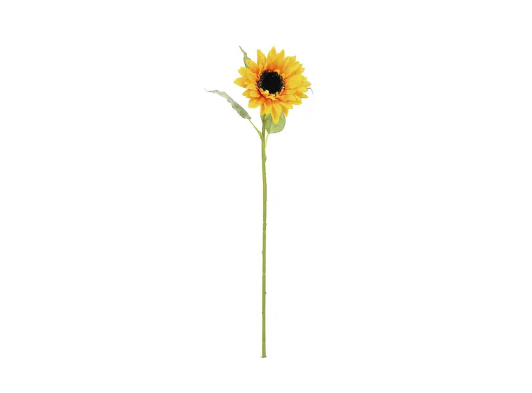 Europalms Sunflower, 70cm 