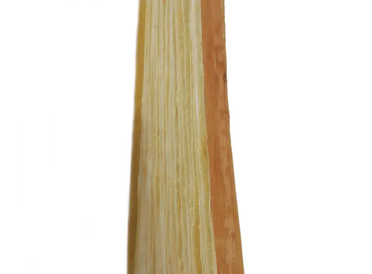 Europalms Wallpanel, bamboo, 100x100cm 