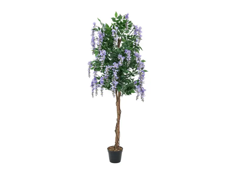 Europalms Wisteria, purple, 150cm 