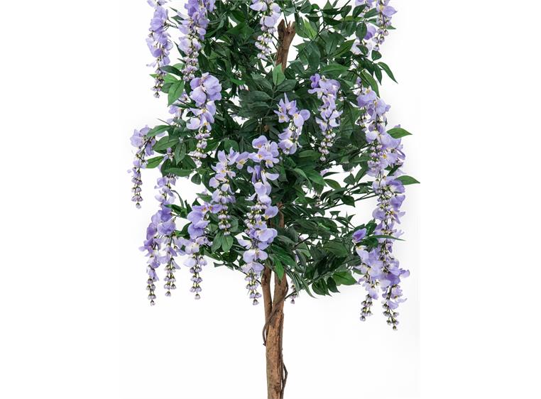 Europalms Wisteria, purple, 150cm