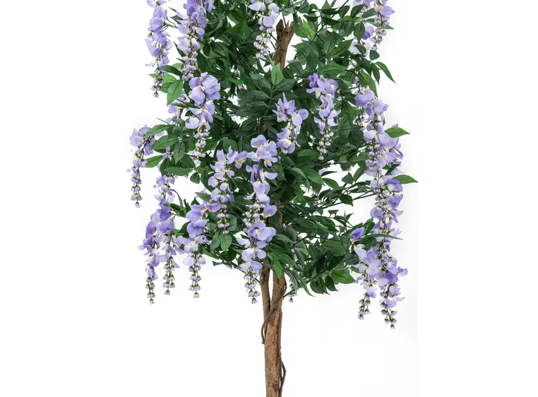 Europalms Wisteria, purple, 150cm 