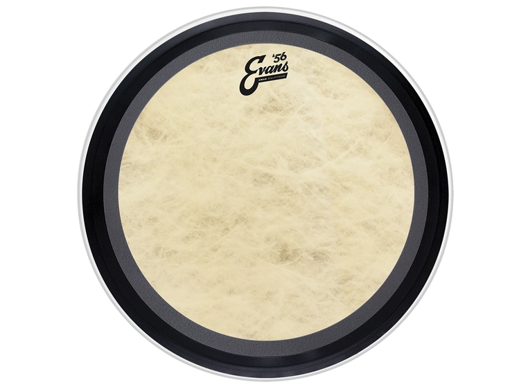 Evans TT16EMADCT 16 EMAD Calftone Basstrommeskinn / trommeskinn 